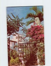 Postcard Flaming Bougainvillea, Florida picture