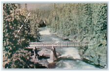 1946 Scenic Lake McDonald River Glacier National Park Montana MT RPO Postcard picture