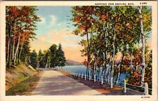 Grayling MI-Michigan, Scenic Greetings, Forest, Vintage Postcard picture