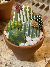Hand Painted Rock Cactus Garden In Terra Cotta Pot picture