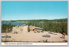 Postcard WY Aerial View Meadowlark Resort Big Horn National Forest Vtg Autos picture