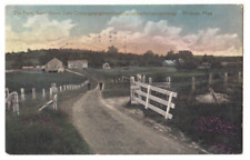 Webster MA Postcard, The Farm, Bates' Grove, Posted c. 1908, Albertype picture