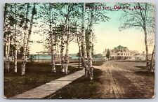 Oconto Wisconsin~View Of Mansion And Water From Birch Trees~Vintage Postcard picture