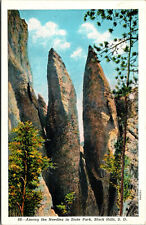 Vtg Among The Needles Custer State Park Black Hills South Dakota SD Postcard picture