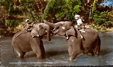 Old Ceylon Postcard Unposted - Elephants in the Mahaweli Ganga near Ceylon {v} picture