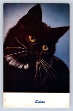 VINTAGE SULTAN THE BLACK CAT POSTCARD CD picture