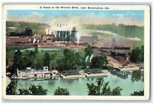 c1910's A Scene On The Warrior River Near Birmingham Alabama AL Antique Postcard picture