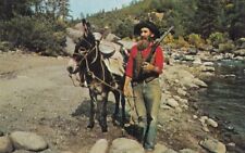 c1970 'Old Ben Fullingim' and Donkey 'Nugget', Toulumne County, CA. Unposted picture