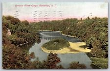 Postcard Genesee River Gorge, Rochester NY 1909 L206 picture