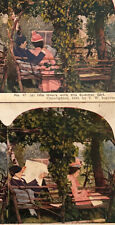 Atq Stereoscope Stereograph (2) Photo Cards Color Litho Late 19th Century Fling picture