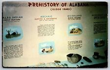 Moundville AL~Prehistory Of Alabama @ Mound Park Archaeological Museum~Postcard picture