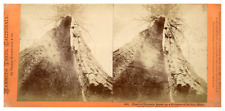 USA, California, Pluto's Chimney, Big Tree Grove, Calaveras County, circa 1870 picture