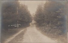 Mullet Lake, MI: 1919 RPPC Dirt Road - Vintage Cheboygan Co, Michigan Postcard picture