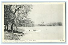1938 Little John Lake Looking East Allegan Michigan MI Antique Postcard picture