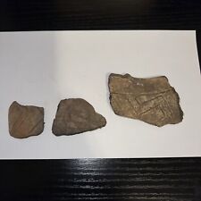 Set Of 3 Ancient Native American Indian Potsherds Incised Geometric picture