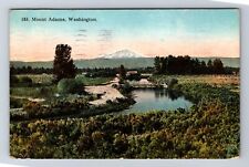 Mount Adams WA-Washington, Panoramic View Mount Adams, Vintage Postcard picture