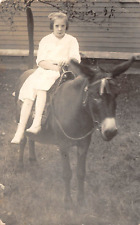 Young Girl Mule RPPC picture