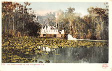 c.1905 Steamer Okeehumkee on Ocklawaha River FL post card picture