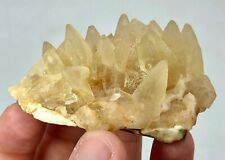 102 Gram Beautiful Dog Teeth Calcite Specimen From Balochistan -Pakistan picture