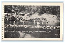 Bathing Swimming at John Browns Shandaken New York NY Postcard (GM7) picture