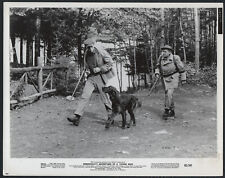 RICHARD BEYMER ARTHUR KENNEDY in Hemingway's Adventures Of A Young Man '62 DOG picture