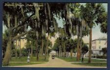 1907 PC Postcard Cedar Avenue Daytona Florida FL picture