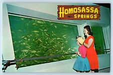 St. Petersburg Florida Postcard Nature's Fishbowl Spring Homosassa Springs c1960 picture