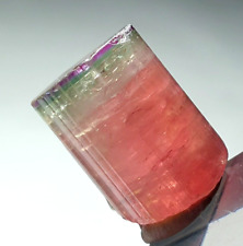 Tri colour zoing terminated watermelon tourmaline crystal - 32 carats picture