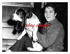 ELVIS PRESLEY CANDID PHOTO - With a Basset Hound Dog, Circa 1957 picture
