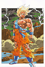 Dragon Ball Z Goku SSJ Namek Poster 12inx18in picture