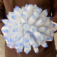 9.67LB Natural blue Crystal Cluster Flower Shape Mineral Specimen healing picture