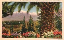 Postcard CA Orange Groves & Snow Capped Mountains CA Winter Vintage PC J4419 picture