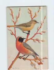 Postcard Beautiful Black Redstart Birds picture