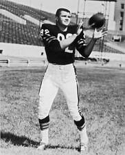 Chicago Bears' Tight End Mike Ditka shown full length catching- 1961 Old Photo picture