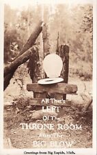 Vintage RPPC Postcard - Greetings From Grand Rapids Michigan Humor Card picture