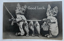 ca 1900s RPPC Postcard Cats Fishing 