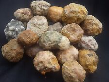 6LB Lot Unbroken Whole Geodes Rare Variety Gift Set Kentucky Quartz Crystal picture