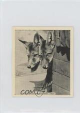 1935 Godfrey Phillips Our Favourites Tobacco M48 Fox-Trot Turkey Trot #14 1md picture