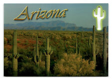 Postcard - Saguaro Cactus - Arizona - Unposted picture