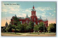 c1910s City Hall Exterior Roadside Port Huron Michigan MI Unposted Tree Postcard picture