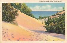 Vintage Linen Postcard Lake Michigan Beach at Douglas Michigan picture