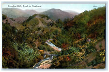 c1910 Brandon Hill Road to Castleton Jamaica Antique Unposted Postcard picture