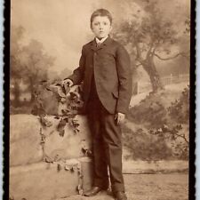 c1880s Reading, PA Dapper Young Man Boy Cabinet Card Photo Gallery Saylor B13 picture