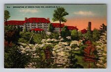 Asheville NC-North Carolina, Springtime At Grove Park Inn, Vintage Postcard picture