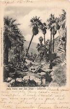 Palm Valley near San Diego California CA 1906 Vintage Postcard picture