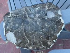 Huge Alamo Nevada Meteorite Impact Breccia Slab - 4.42 kg (9.74 lb), 15 x 12.5