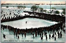 Detroit Michigan MI, Skating Exhibition, Belle Isle Park, Vintage Postcard picture