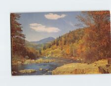 Postcard Summer Rusting into Autumn Nature Scene Landscape River Trees & Plants picture