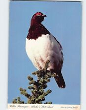 Postcard Willow Ptarmigan Alaska's State Bird picture
