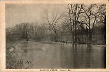 Saucon Creek, Bingen, Pennsylvania PA RPPC Postcard picture
